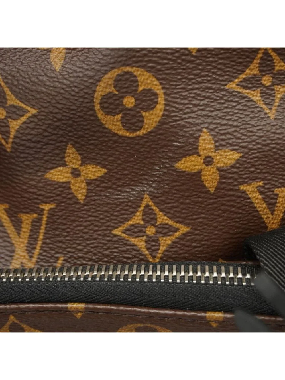 Louis Vuitton Backpack Monogram Macassar Zack Brown